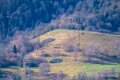 benou-a74_01866