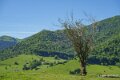 benou-a74_05371