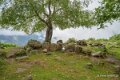 benou-a74_07384