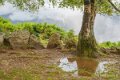 benou-a74_07385