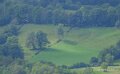 benou-vautour-a74_07422