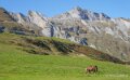 chevaux-a74_07882