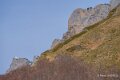 laberouat-a74_01976