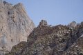 laberouat-a74_01982