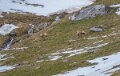 lepourtalet-a74_02246
