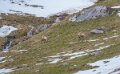 lepourtalet-a74_02247