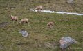 lepourtalet-a74_02254