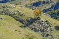 lepourtalet-a74_07838