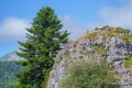 lescun-a74_05495