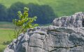 lescun-a74_05496