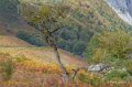 lescun-a74_07996