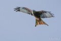 milan-a74_07971