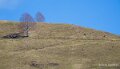 pays-basque-a74_02040