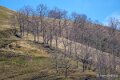 pays-basque-a74_02041
