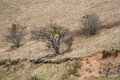 pays-basque-a74_02057