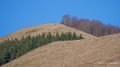 pays-basque-a74_02063