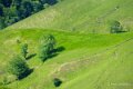 pays-basque-a74_05188
