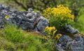 pays-basque-a74_05190