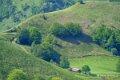 pays-basque-a74_05193