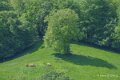 pays-basque-a74_05202