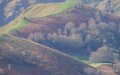 pays-basque-a74_08626