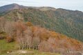 pierre-st-martin-a74_08468