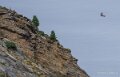 pierre-st-martin-a74_08487
