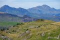 pierre-st-martin-a74_08503