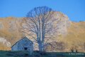 pierre-st-martin-a74_08904
