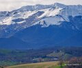 pietat-a74_02028