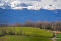 pietat-a74_02029