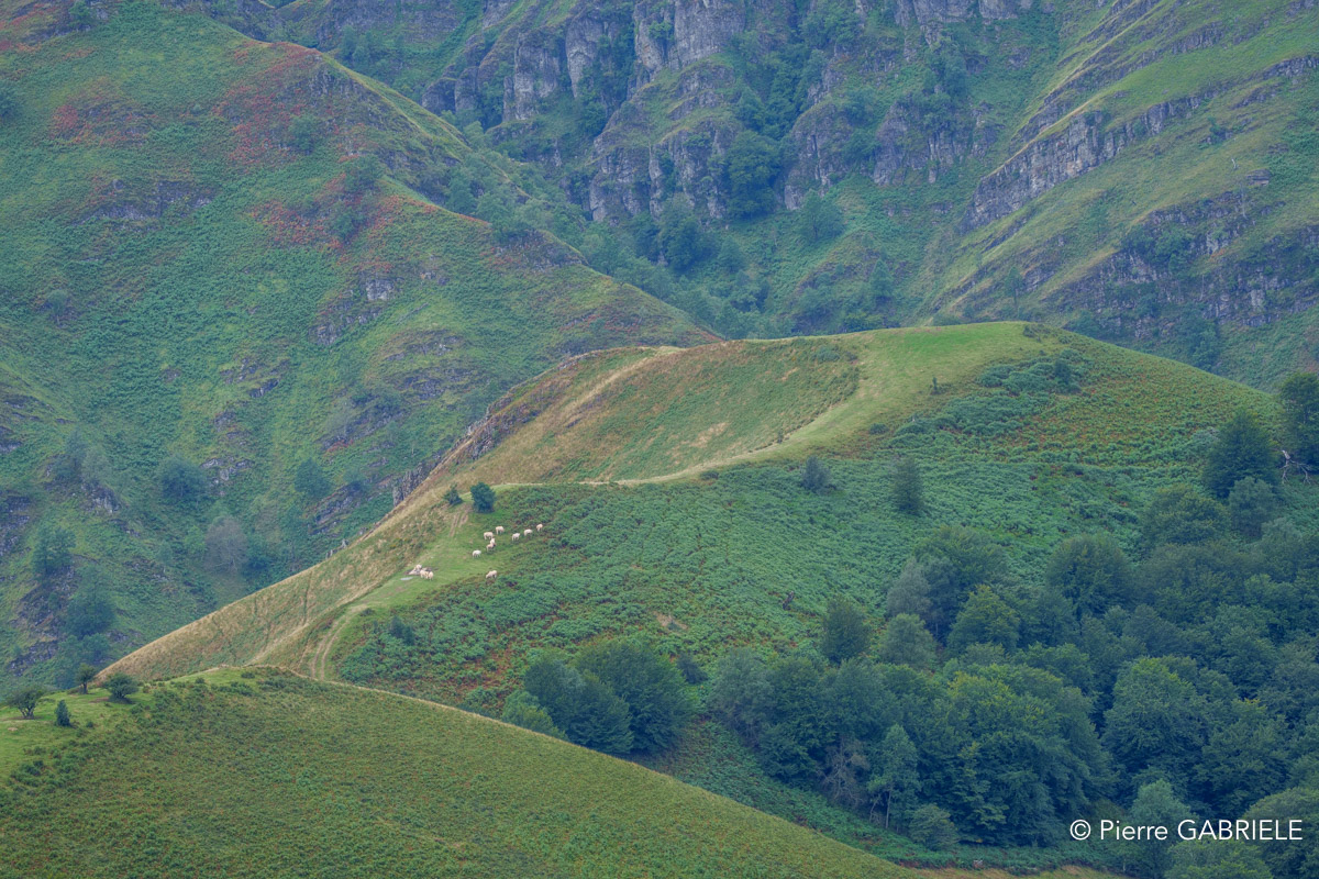 pays-basque-a74n_05750.jpg
