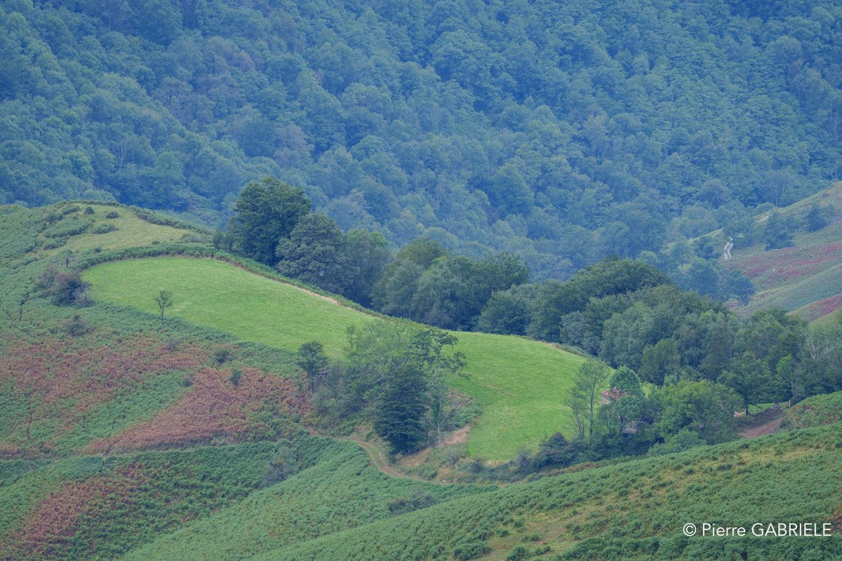pays-basque-a74n_05752.jpg