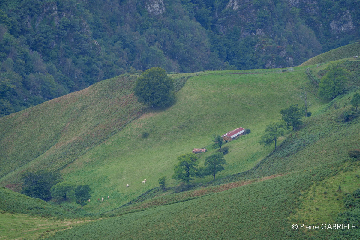pays-basque-a74n_05753.jpg