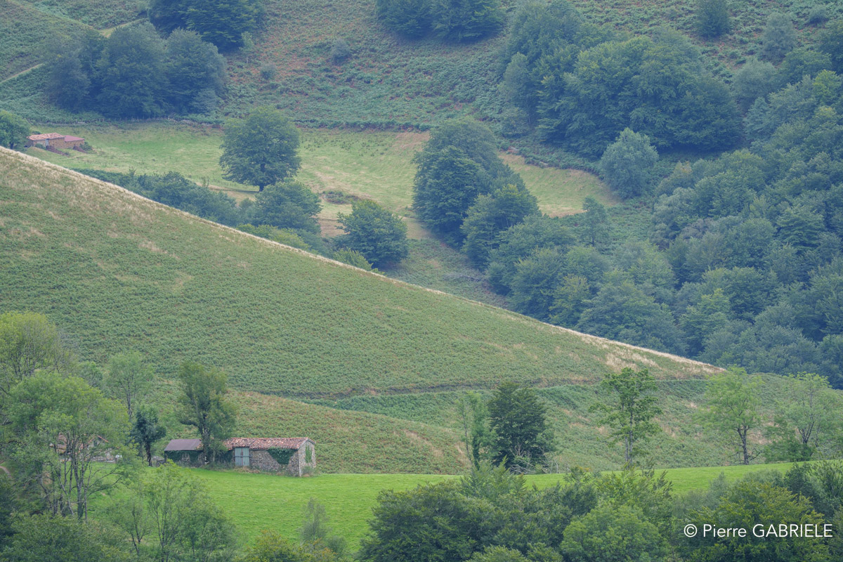 pays-basque-a74n_05757.jpg