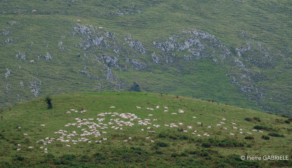 pays-basque-a74n_05759.jpg
