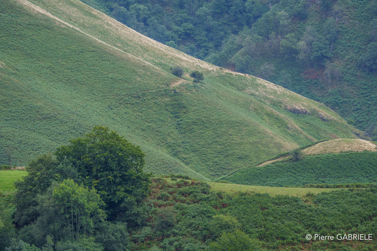 pays-basque-a74n_05763.jpg