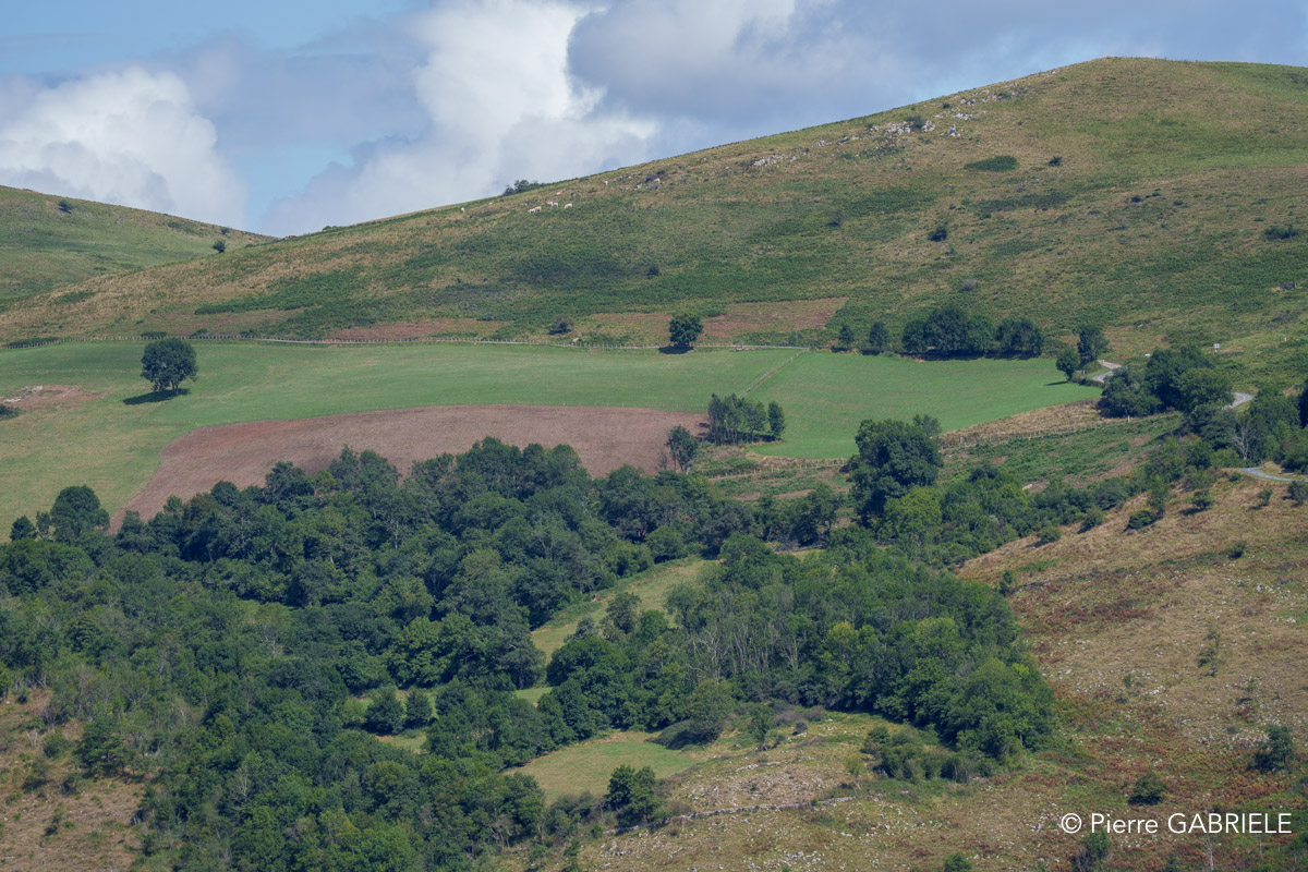 pays-basque-a74n_05790.jpg