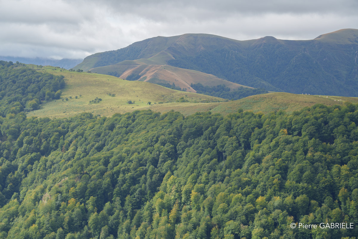 pays-basque-a7c2_00490.jpg