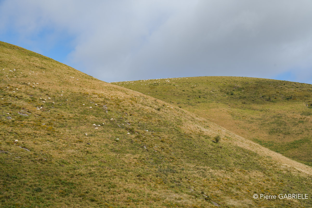 pays-basque-a7c2_00494.jpg