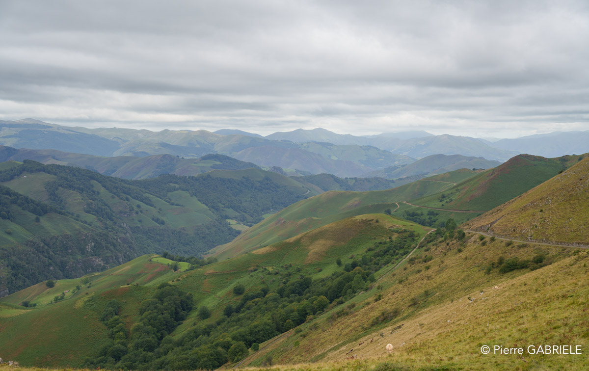 pays-basque-a7c2_00495.jpg