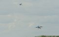 paf_5559