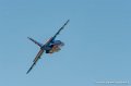 paf_6334