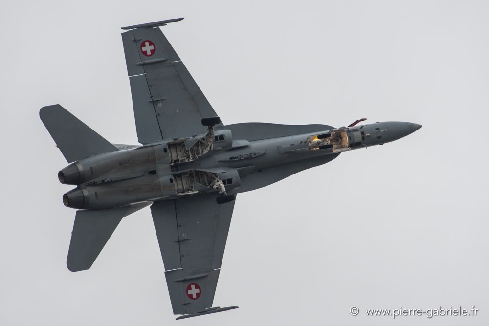 f18-d500_5217.jpg