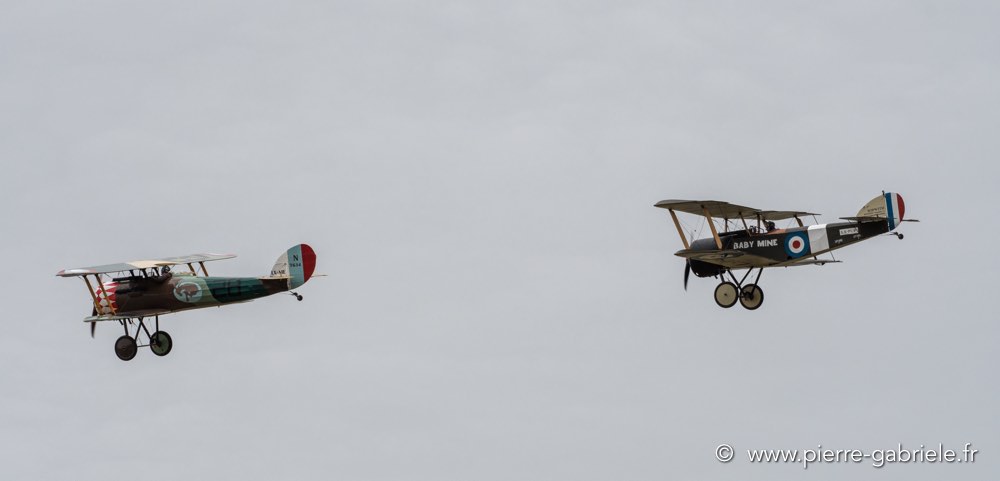 nieuport28-sopwithcamel-d500_5468.jpg
