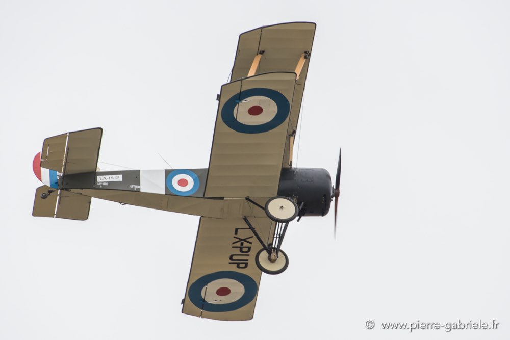 sopwith-camel-d500_5461.jpg