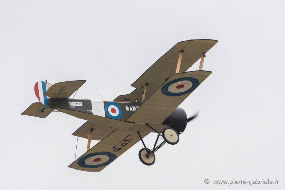 sopwith-camel-d500_5462.jpg