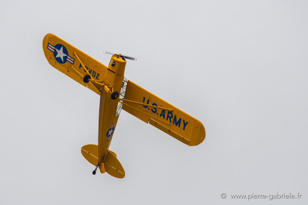 piper-d500_5081.jpg