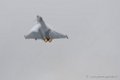 typhoon-d500_5310