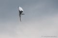 typhoon-d500_5322